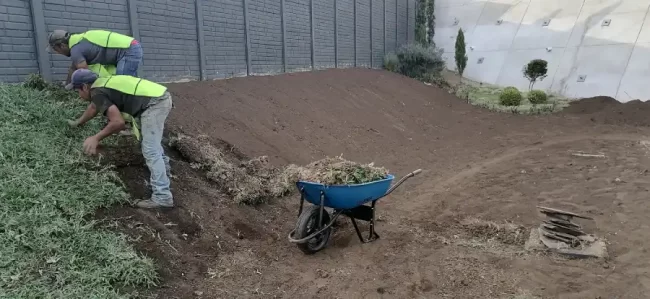 Instalación de grama san agustin