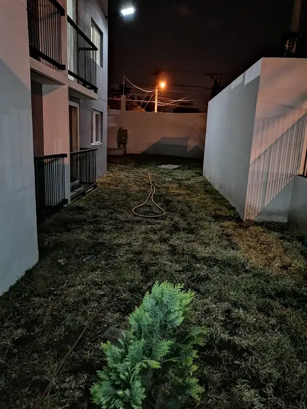 grama san Agustín en tepe