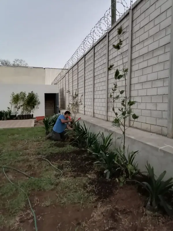 mantenimiento de jardín