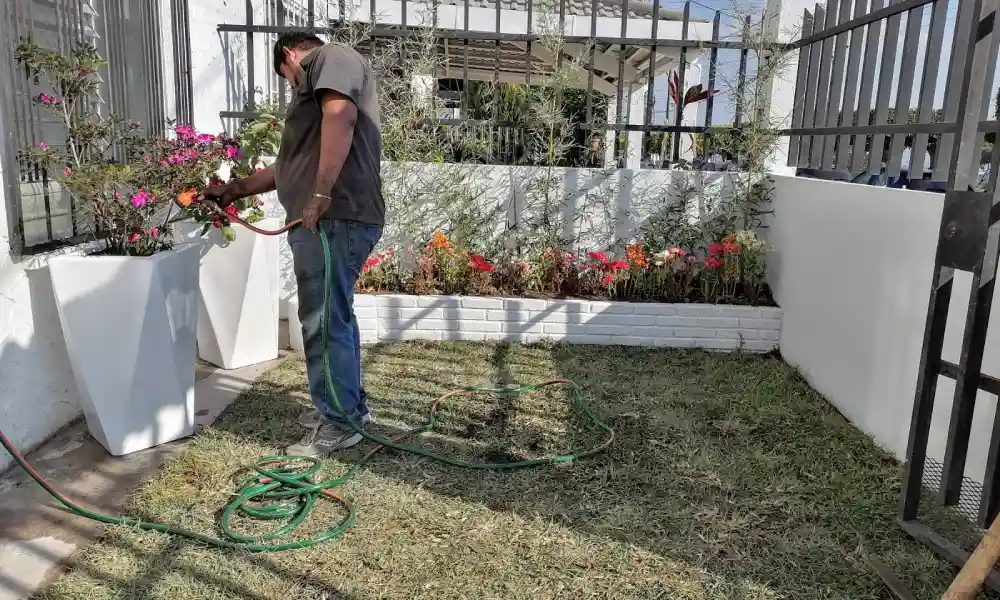 Jardinero a domicilio