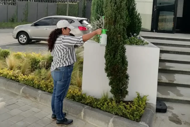 Control de plagas en plantas