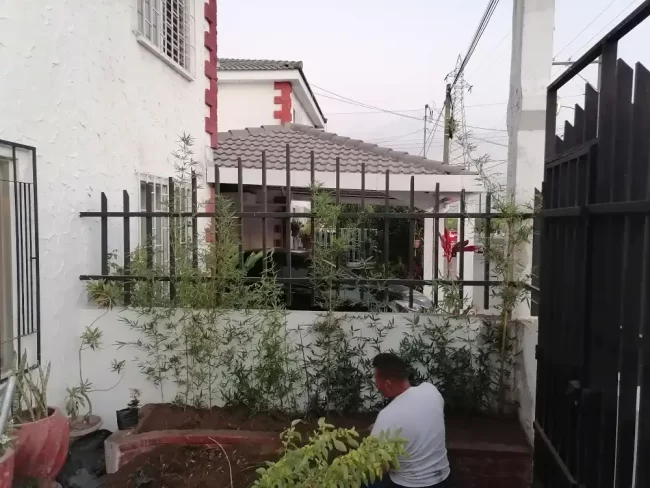 Mantenimiento de jardines