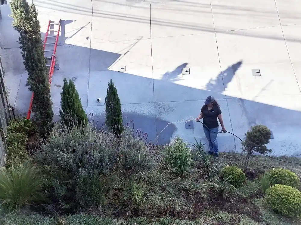 Paisajismo urbano y jardinería