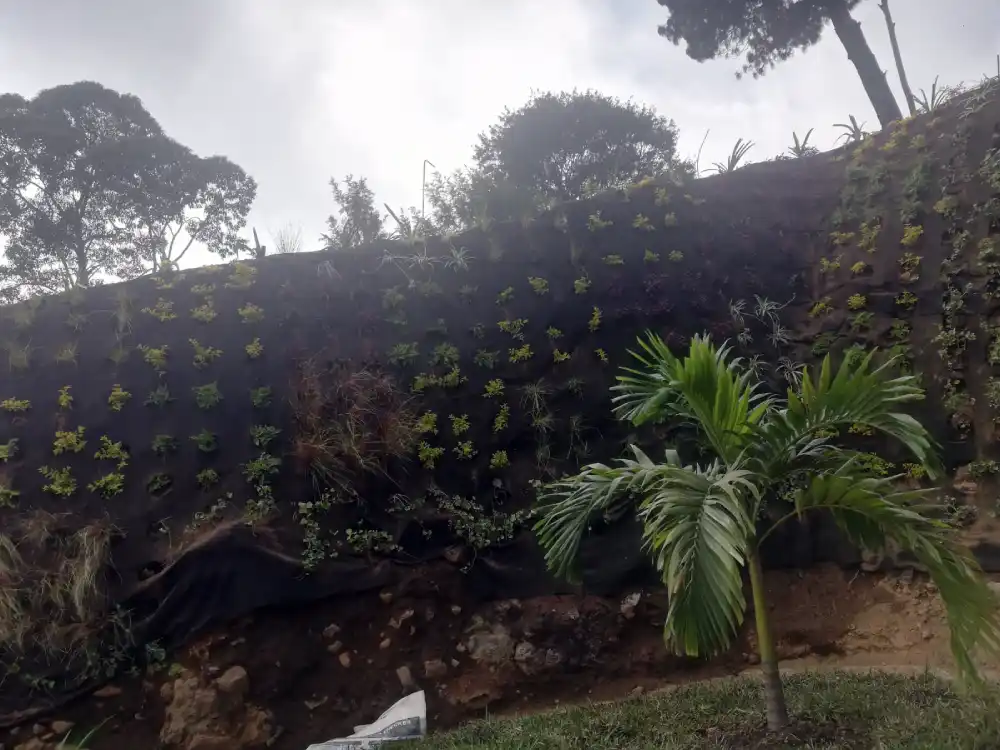 Jardín vertical