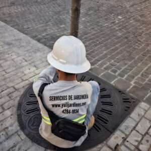 Servicio de jardinería en cayala