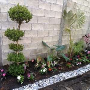 Jardinera