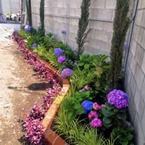 Jardinizacion 