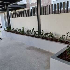 Jardinizacion en proyecto de torres