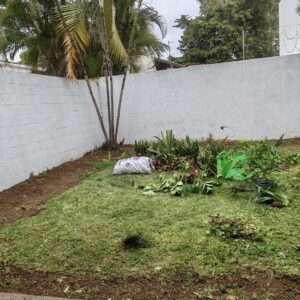 Instalación de grama bermuda