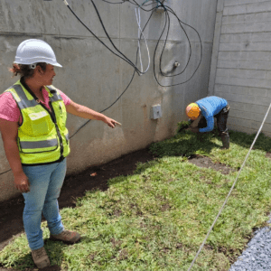 Instalación de grama san agustin